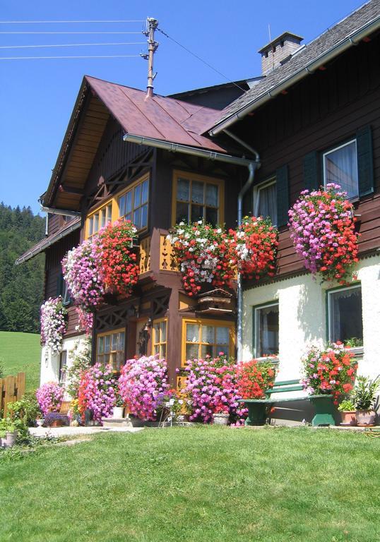Bauernhof Haim-Schnepfleitner Pichl bei Aussee Bagian luar foto