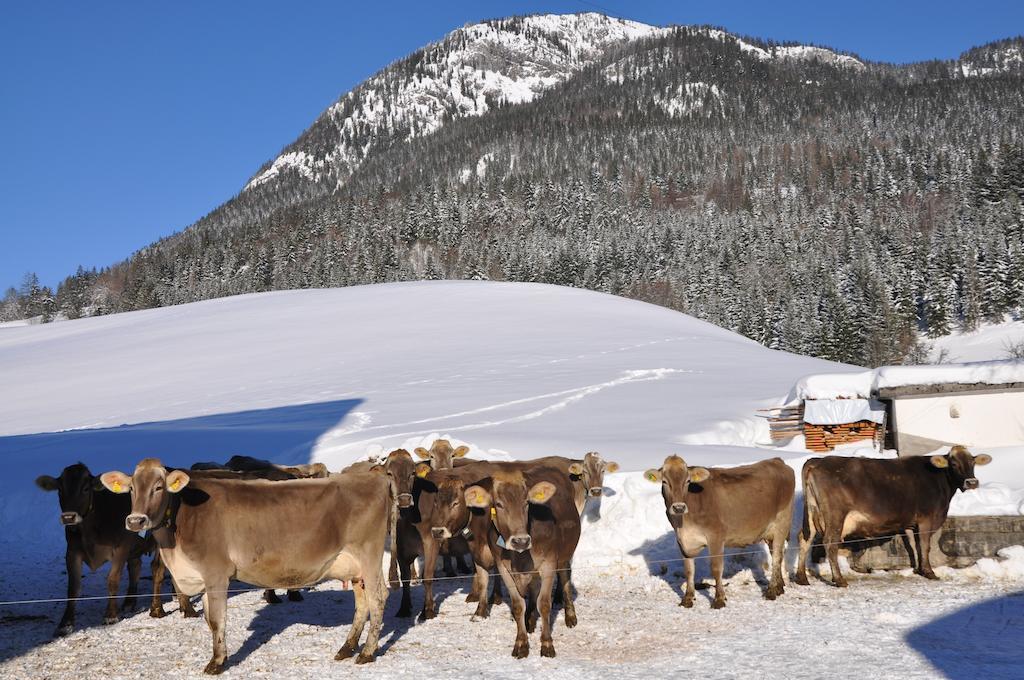 Bauernhof Haim-Schnepfleitner Pichl bei Aussee Bagian luar foto