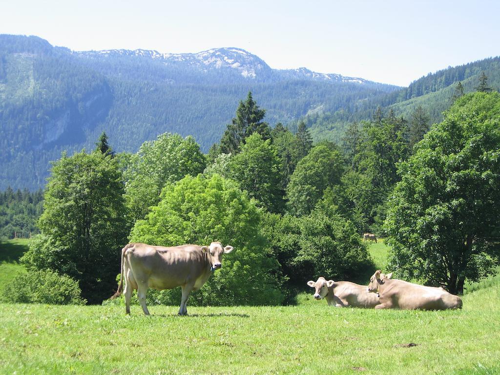 Bauernhof Haim-Schnepfleitner Pichl bei Aussee Bagian luar foto