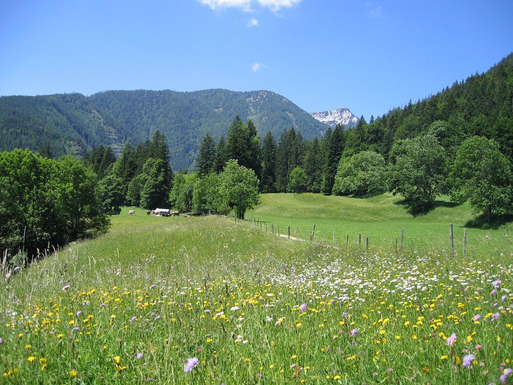 Bauernhof Haim-Schnepfleitner Pichl bei Aussee Bagian luar foto