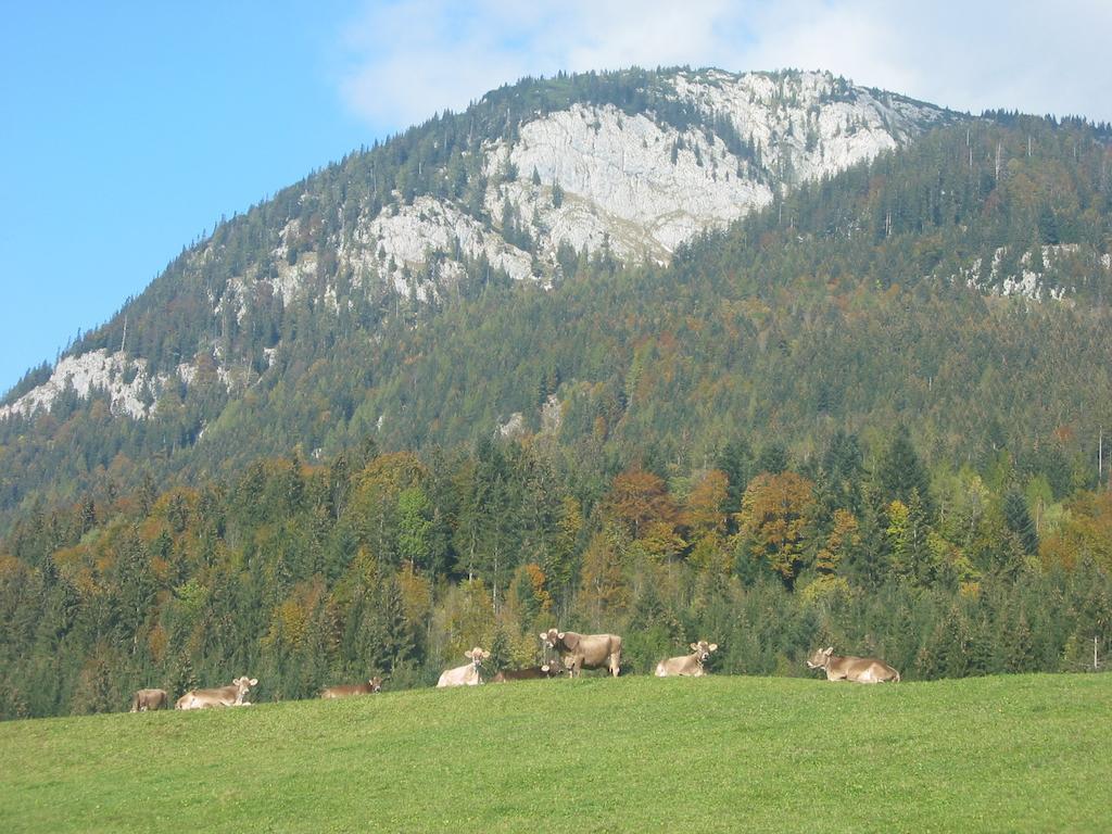 Bauernhof Haim-Schnepfleitner Pichl bei Aussee Bagian luar foto